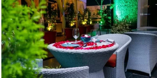 Aesthetic Outdoor Dining