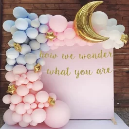 Baby Shower Pink Backdrop Decoration