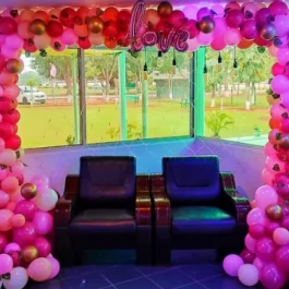 Balloon Arch Backdrop