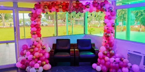 Balloon Arch Backdrop